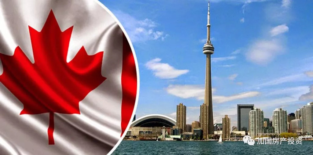  苏州肯帝亚团队配合流畅拿下宁波町渥